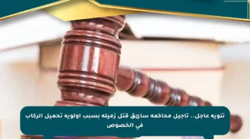 تنويه عاجل.. تأجيل محاكمة سائق قتل زميله بسبب أولوية تحميل الركاب في الخصوص